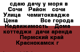 сдаю дачу у моря в Сочи › Район ­ сочи › Улица ­ чемитоквадже › Цена ­ 3 000 - Все города Недвижимость » Дома, коттеджи, дачи аренда   . Пермский край,Краснокамск г.